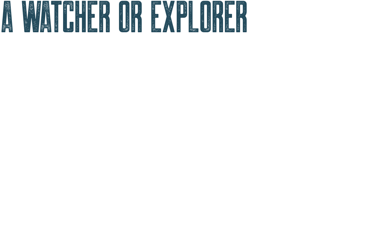 观察者或visionary也可以是探险家